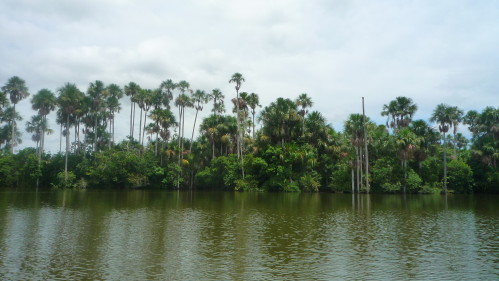 P1010795